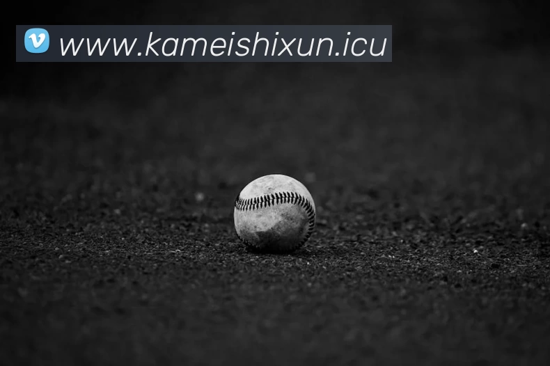 米兰(中国)milan·官方网站 - 登录入口APP 封面图